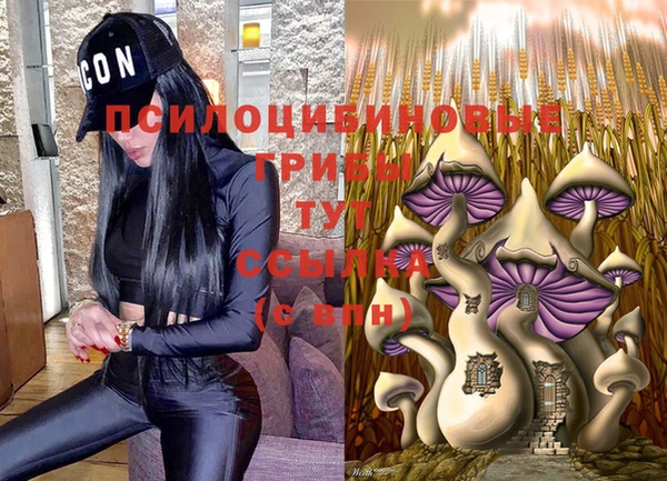 а пвп мука Сатка