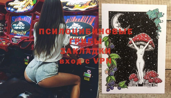 гидра Саяногорск